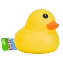 Sunny Days Duck